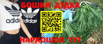 прущие крисы Нальчик