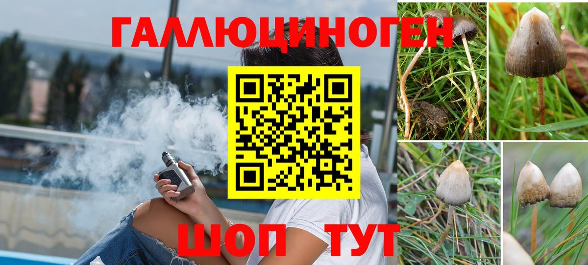 Галлюциногенные грибы GOLDEN TEACHER Тула
