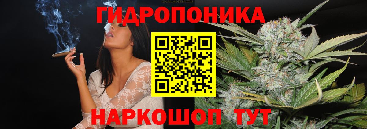 Конопля гибрид Тула